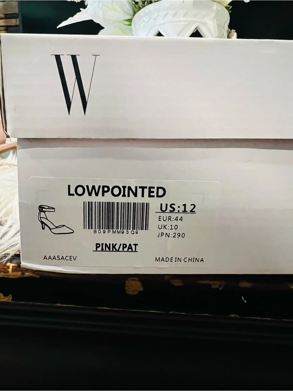 Dream Pairs sleek patent